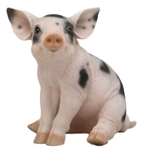 Large Adorable Realistic Animal Farm Babe Spotted Pig Piglet Statue 15