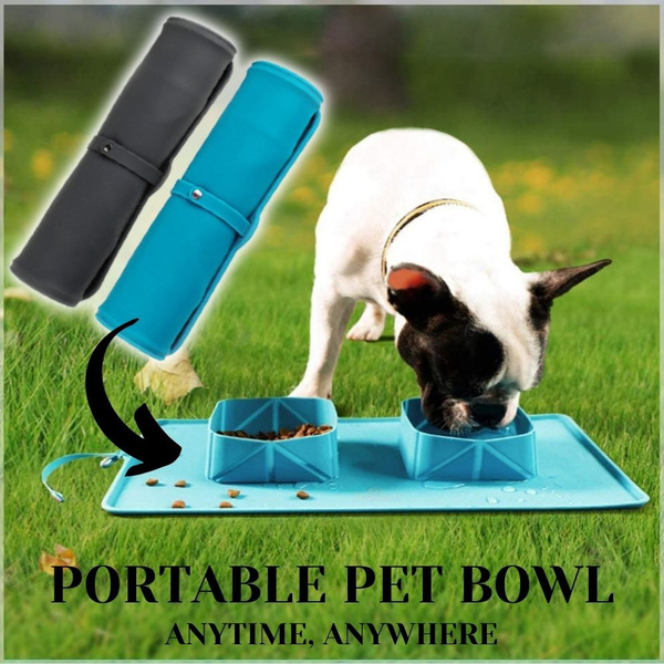 Travel Big Dog Bowl with Carabiner TEAL