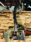 thumbnail - 2