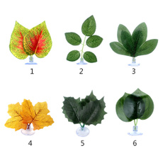 ornamental, Plants, leaf, Beds