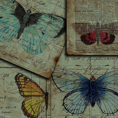 butterfly, Scrapbooking, craftpaper, Vintage