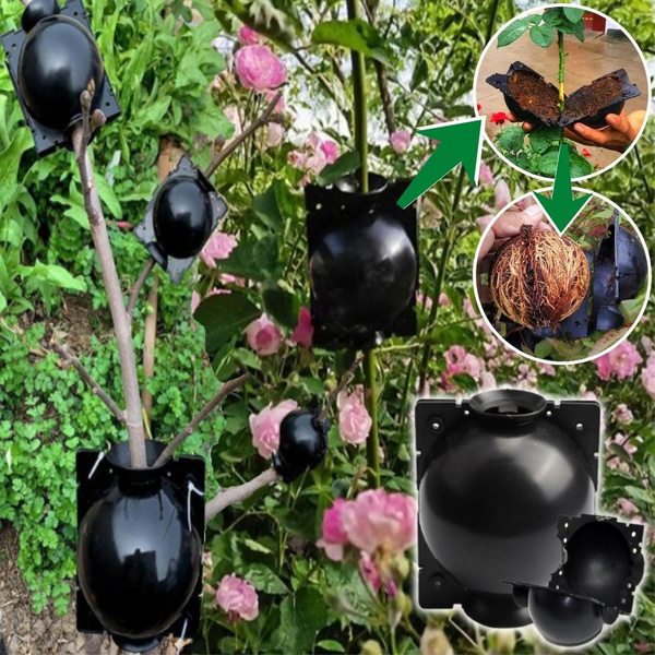 Reusable Air Layering Pods – Bonsai Plant Root Growing Box For Propagation