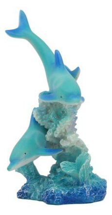 Blues, namefishiddolphin, nameampidmarine, Reef