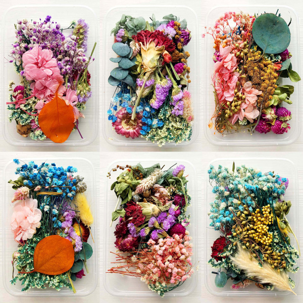 1 Box Random Real Dried Flower Resin Mold Fillings UV Expoxy Flower For Epoxy  Resin Molds Jewelry Making Craft DIY Accessories