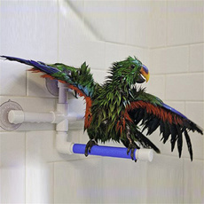 parrotladder, Bathing, Toy, Parrot