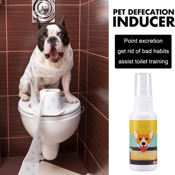 30ml pet dog cat inducer dog toilet training puppy positioning