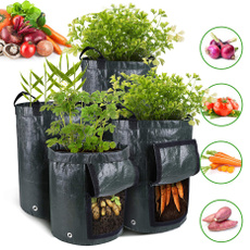 planting, seedsgrowbox, plantbag, Gardening