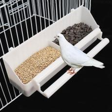 Box, Container, Parrot, Pets