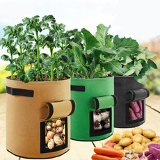 growinglight, vegetabletool, flowerpot, Gardening