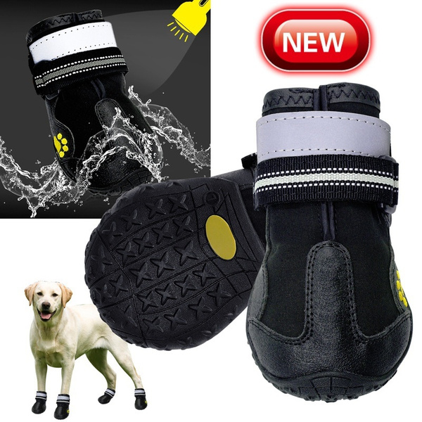 Waterproof dog outlet boots