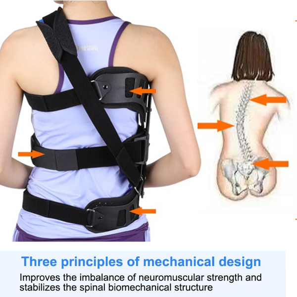 Scoliosis belt 2025