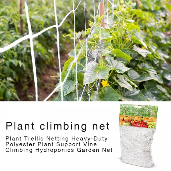 Climbing Plant Trellis Net Mesh for Flowers Tomatoes Beans Grapes 1.67x5m 