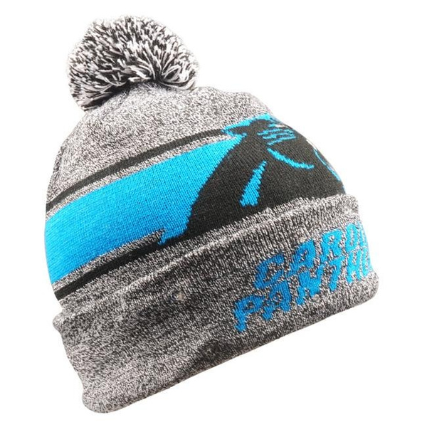 Forever Collectibles 9279791974 Carolina Panthers Gray Stripe Light Up  Beanie