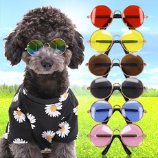 cute, cool sunglasses, Computers, puppy