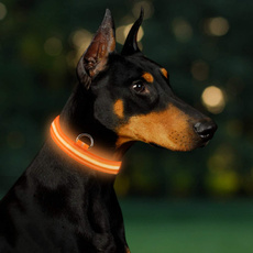 leddogcollarlight, dogcollarforsmalldog, Dog Collar, usb