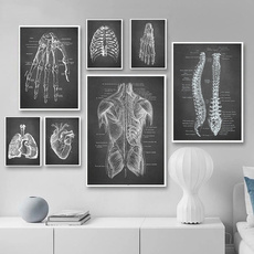 Decor, Muscle, Skeleton, Posters