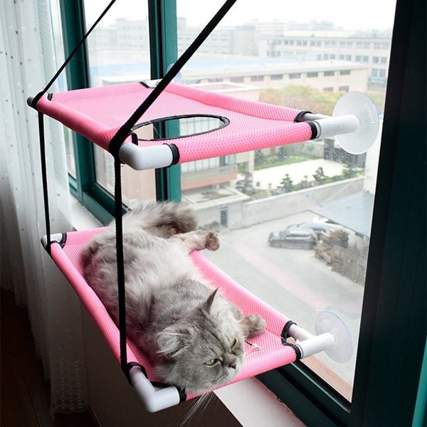 double cat window perch