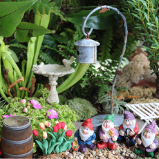 Plants, miniaturegarden, Garden, Ornament