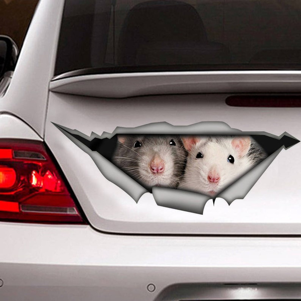 Autocollant De Rats Autocollant Drole Autocollant De Voiture De Rats Autocollant De Rat Sticker Pour Animaux De Compagnie Wish