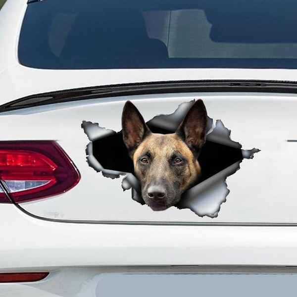 malinois car decal
