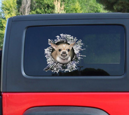 Cars, Stickers, chihuahua, Decal