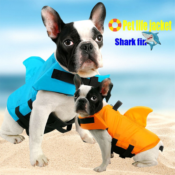 dachshund shark life jacket