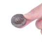 thumbnail - 6