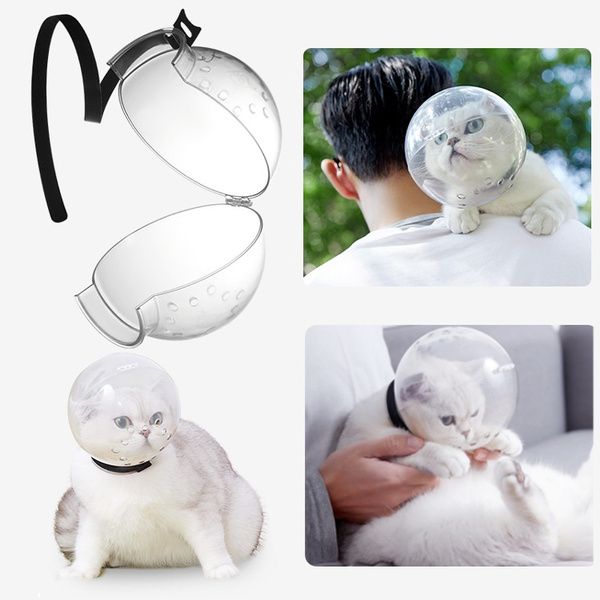 wish cat muzzle