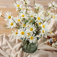 Flowers, chamomile, Photography, Wedding
