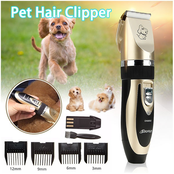 dog electric shaver
