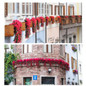 thumbnail - 2