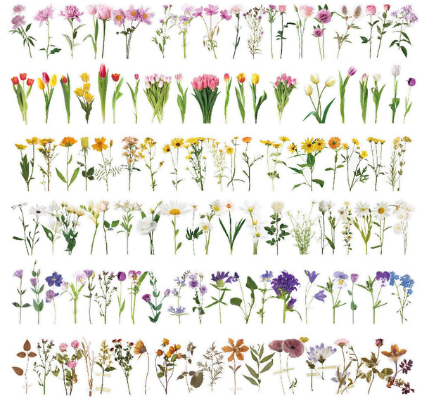  40 Pcs Plants Floral Stickers Transparent Flower