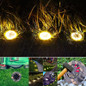 thumbnail - 3