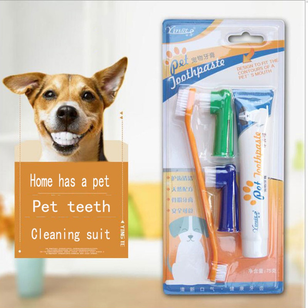 pets at home dog toothpaste