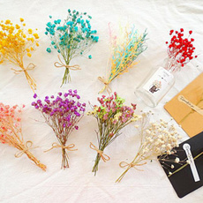 Flowers, Natural, Home Decor, Bouquet