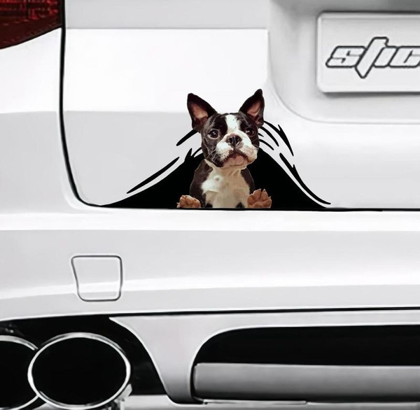 Boston Terrier Crack Sticker Dogs Lover Car Decal Size 6