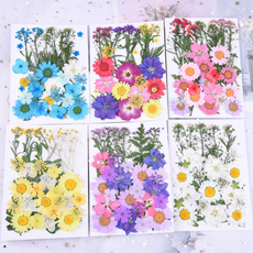 dryflowerjellycolorchanginglipstick, flowersforhomedecorpartydecoration, Flowers, dryflowerjewelry