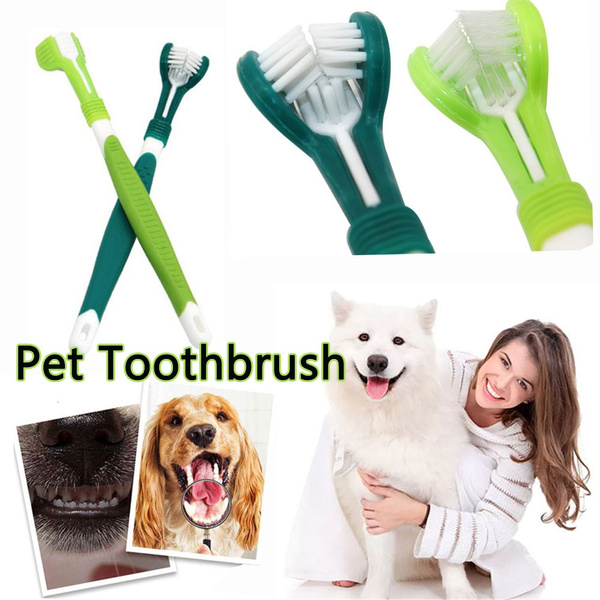 dog teeth cleaning kit