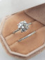 thumbnail - 2