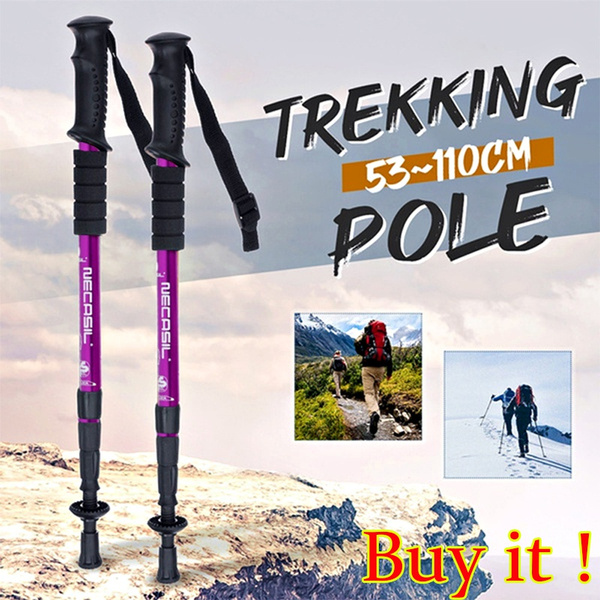 new trend 2pcs/lot walking stick Trekking poles telescopic baton nordic