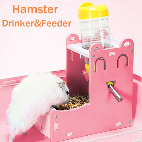 hamster auto feeder