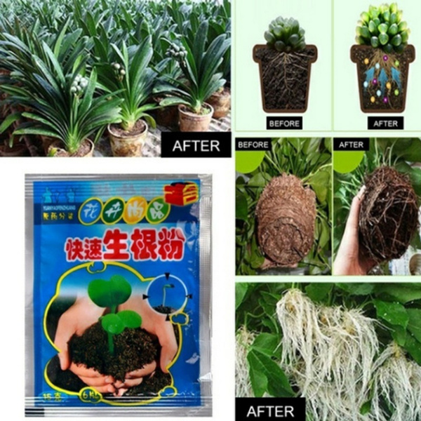 Bonsai growth regulator