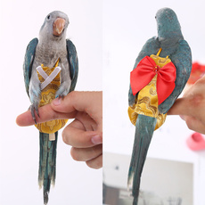 parrotflyingcostume, Pets, Pet Products, Suits