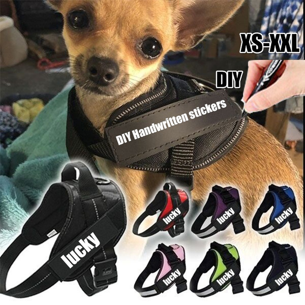 Julius k9 clearance harness chihuahua