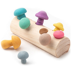 developmental, Educational, Toy, gaes