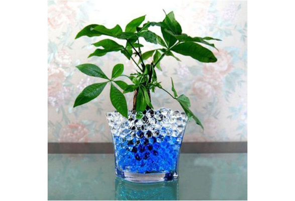 Vases 10 Bag Multicolors Crystal Soil Plant Flower Jelly Mud Water Beads  For Plants Pearls Vase Gel Balls Home Decoration 230701 From Deng10, $5.1