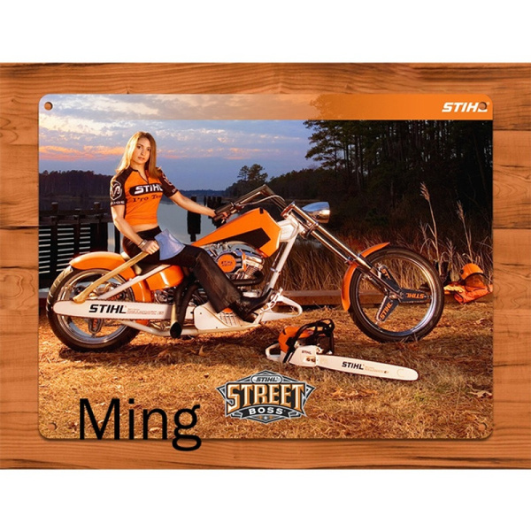 Stihl Calendar Girl Street Boss Vintage Pin Rustic Wall Decor 20cmx30cm