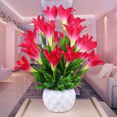 decoration, Flowers, Home & Living, Home & Kitchen