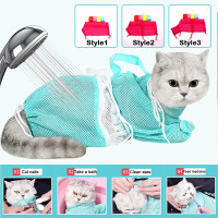 cheap kitten accessories