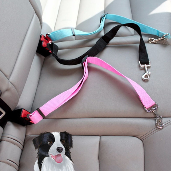 Dog harness outlet seat belt clip